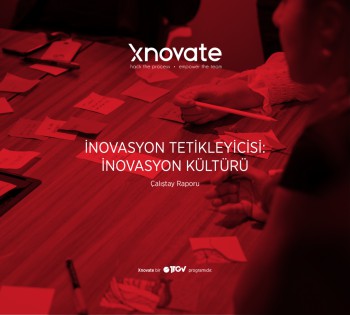 İnovasyon Tetikleyicisi: İnovasyon Kültürü